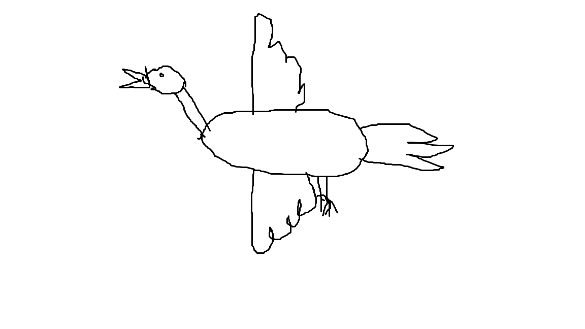 oiseau.png